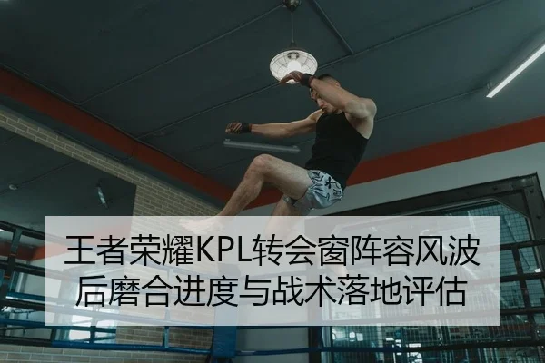 王者荣耀KPL转会窗阵容风波后磨合进度与战术落地评估